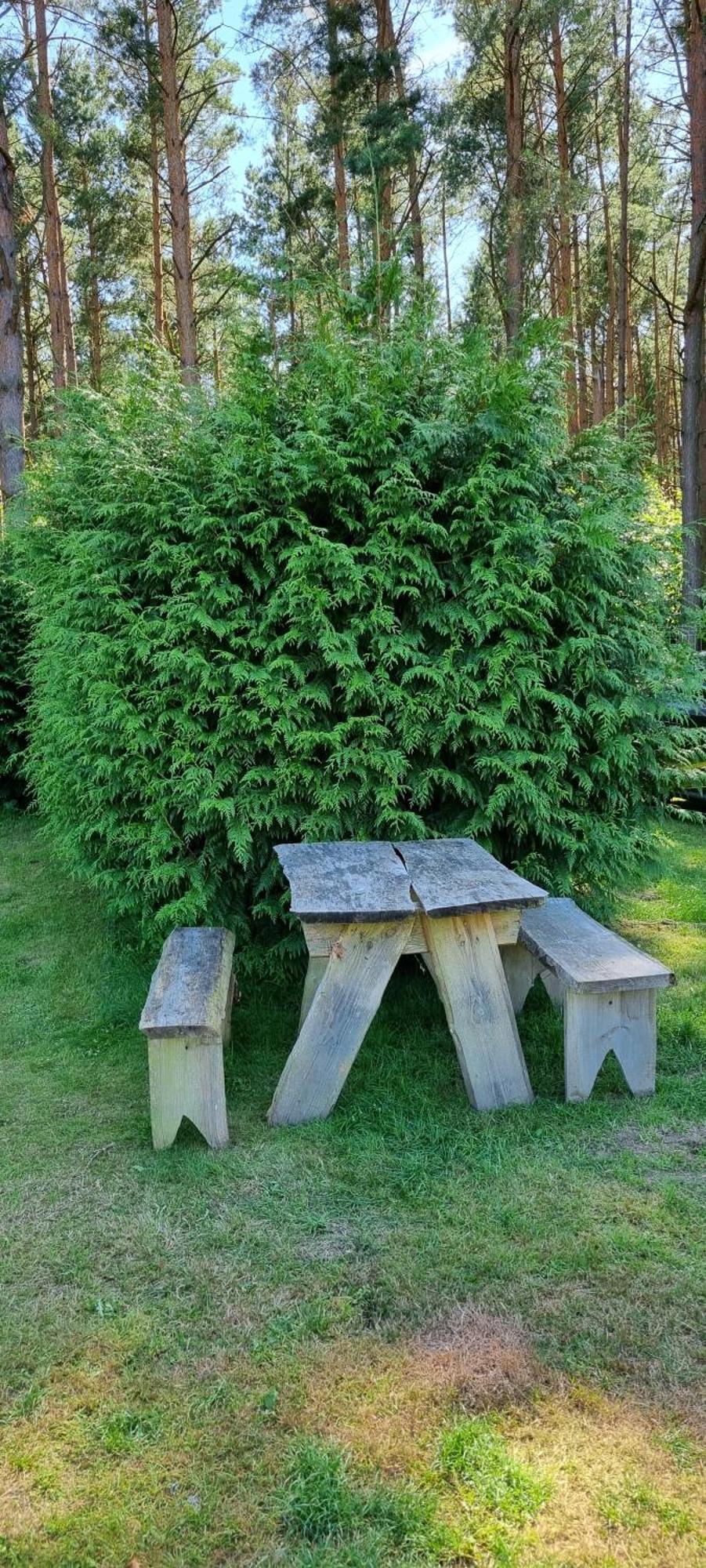 Pod Swierkami - *