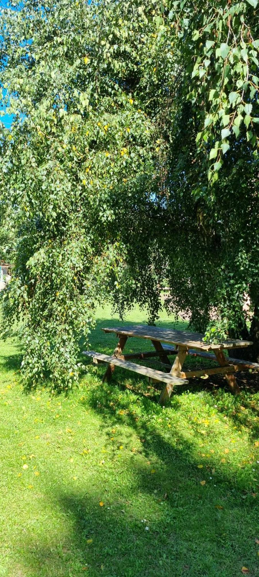 Pod Swierkami - * Kołczewo