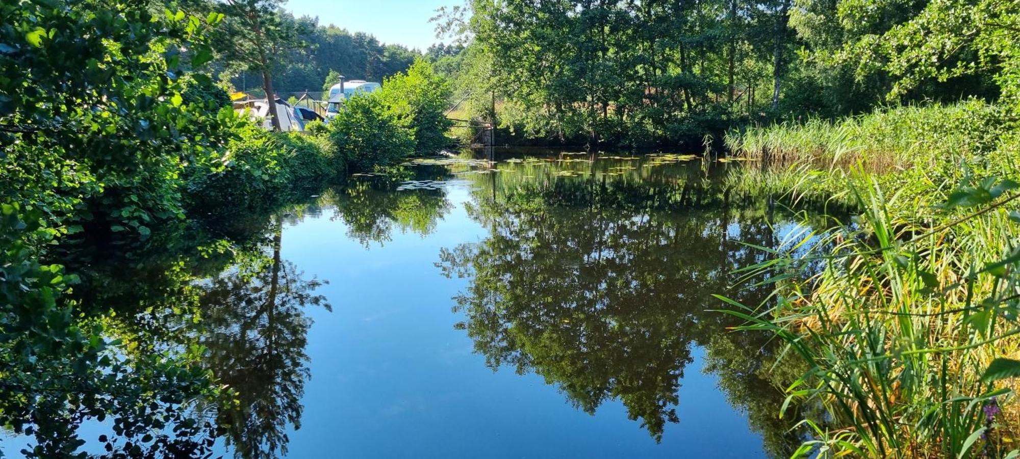 Campingplasser Pod Swierkami - Kołczewo