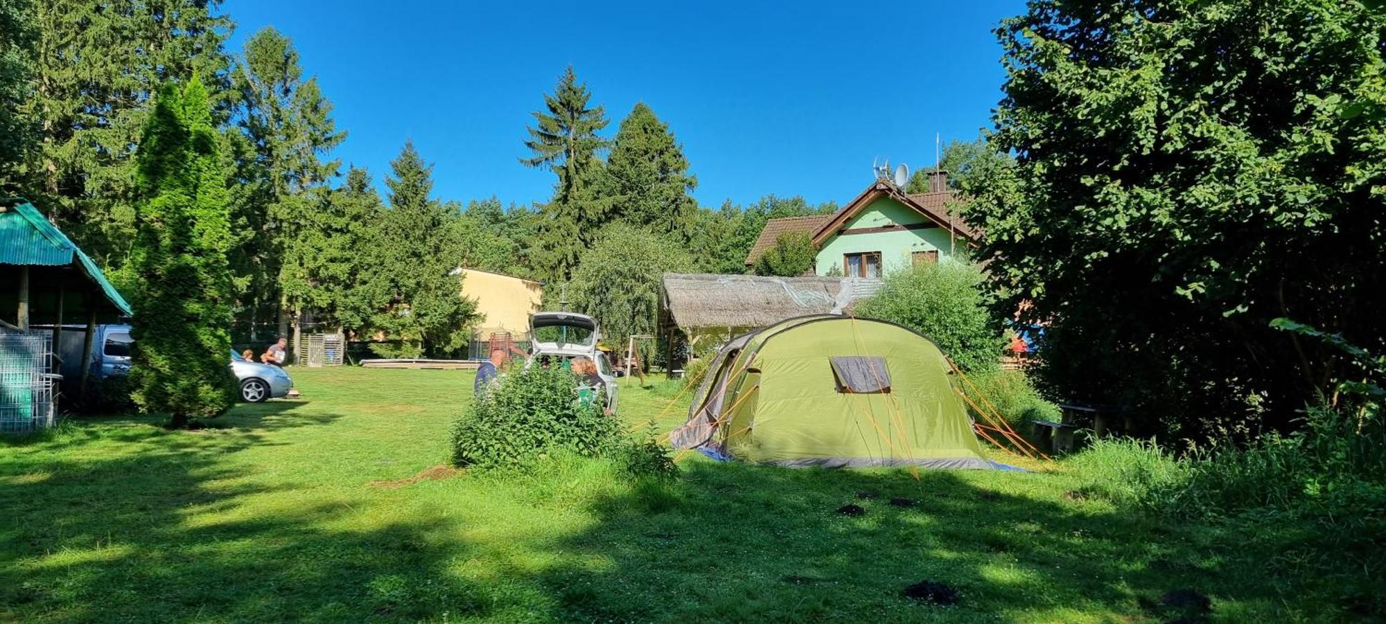 Pod Swierkami - *